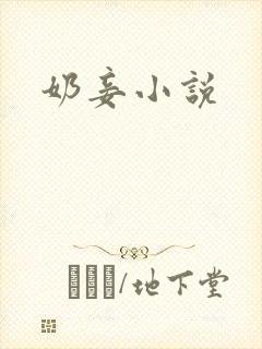 奶妾小说