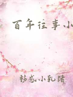 百年往事小说