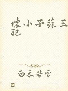 坏小子苏三风流记