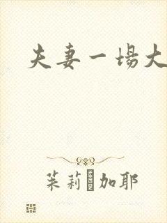 夫妻一场大结局