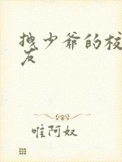 拽少爷的校花女友