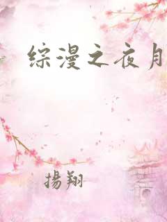 综漫之夜月