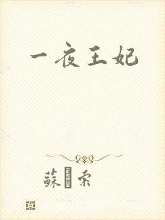 一夜王妃