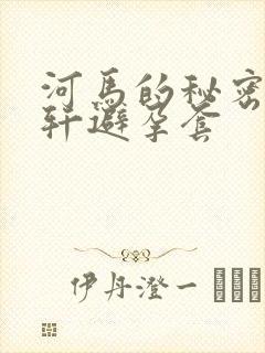 河马的秘密河文轩避孕套