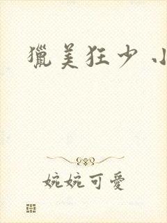 猎美狂少 小说