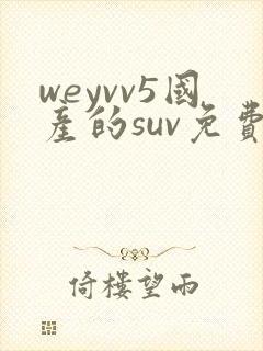 weyvv5国产的suv免费