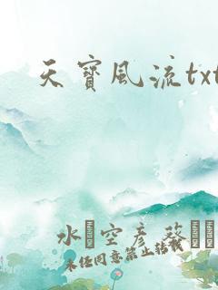 天宝风流txt