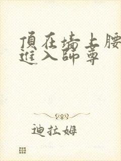 顶在墙上腰一沉进入师尊