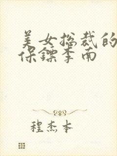 美女总裁的护花保镖李南