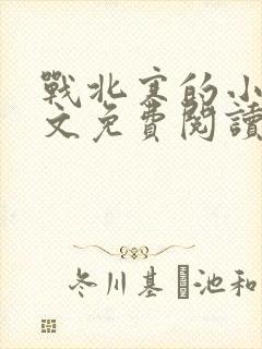 战北寒的小说全文免费阅读无弹窗