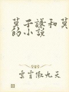 莫子谦和莫弯弯的小说