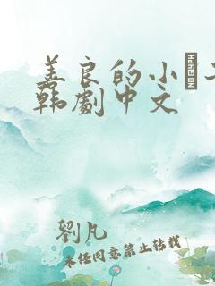 善良的小峓子2韩剧中文