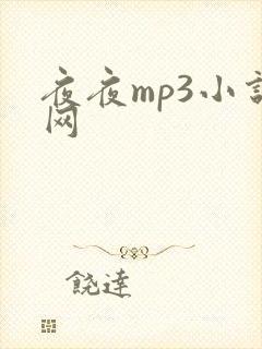 夜夜mp3小说网