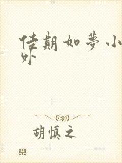 佳期如梦小说番外