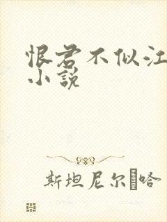 恨君不似江楼月小说