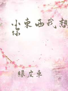 小东西我想弄坏你