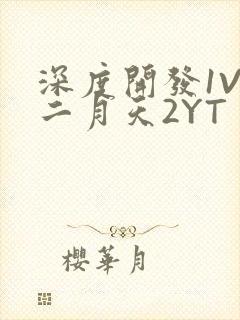 深度开发1V3二月天2YT