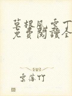 草根风云丁长生免费阅读全本