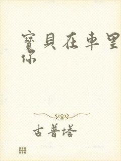 宝贝在车里想要你