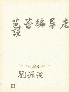 芭蕾编导老师小说