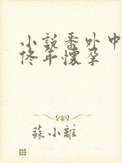 小说番外中结局佟年怀孕