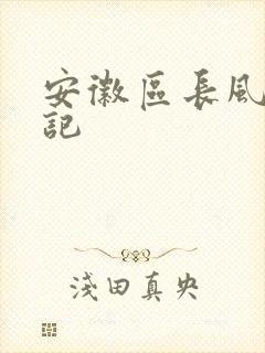 安徽区长风流日记