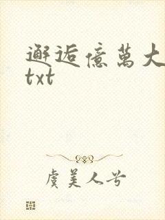 邂逅亿万大人物txt