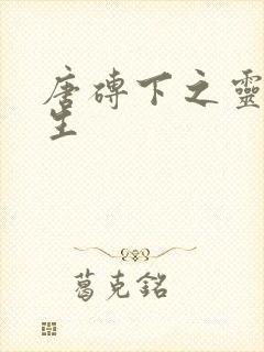 唐砖下之灵域双生