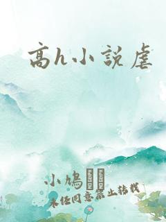 高h小说虐