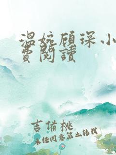 温婉顾琛小说免费阅读