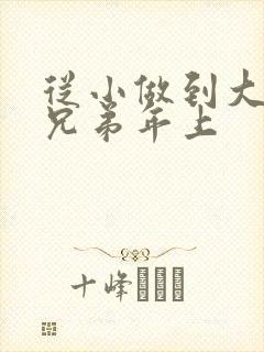 从小做到大骨科兄弟年上