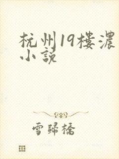 杭州19楼浓情小说