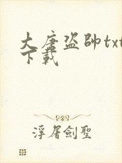 大唐盗帅txt下载