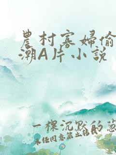 农村寡妇偷人高潮A片小说