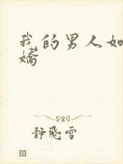 我的男人如此多娇