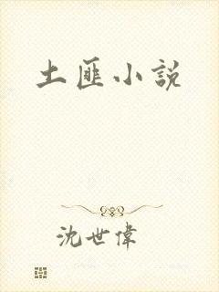 土匪小说