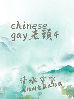 chinesegay老头4