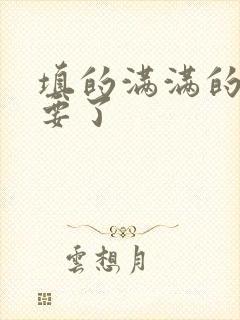 填的满满的 不要了