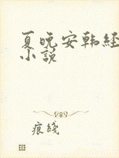 夏晚安韩经年的小说