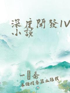 深度开发1V3小说