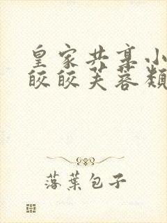 皇家共享小公主皎皎芙蓉类小说