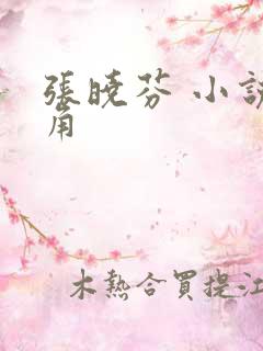 张晓芬 小说主角