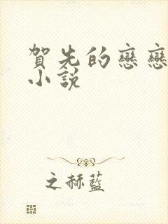 贺先的恋恋不忘小说