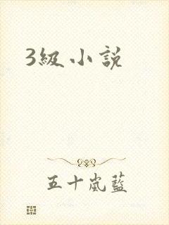 3级小说