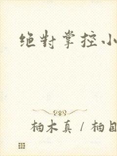 绝对掌控小说