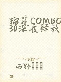 榴莲COMBO30深夜释放自己