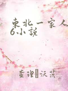 东北一家人1一6小说