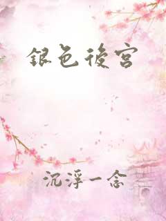 银色后宫
