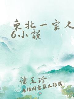 东北一家人1一6小说