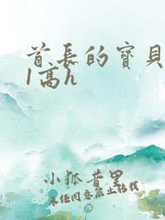 首长的宝贝1v1高h